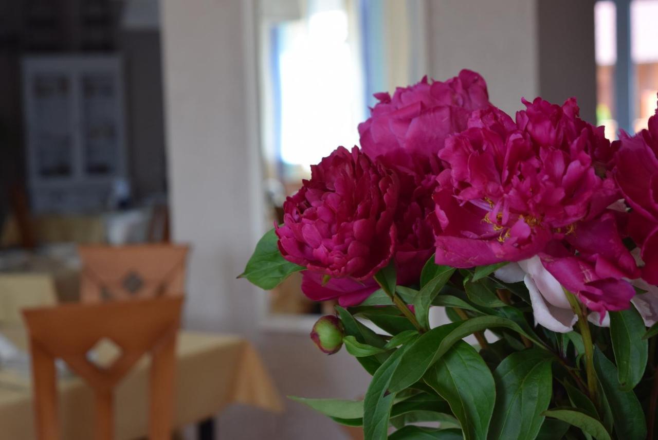Kalmar Bed & Breakfast Darlowko Exterior photo